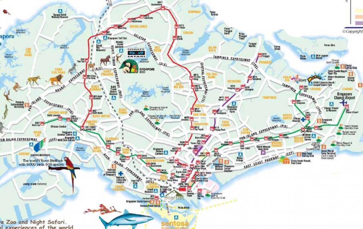 errepide mapa Singapurreko